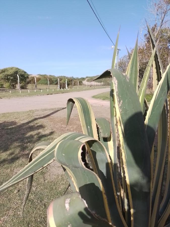 Alojamientos Frente Al Mar Complejo "El Estar De La Costa" Сан-Клементе-дель-Тую Экстерьер фото